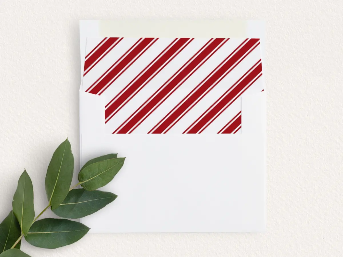 Envelope Liner