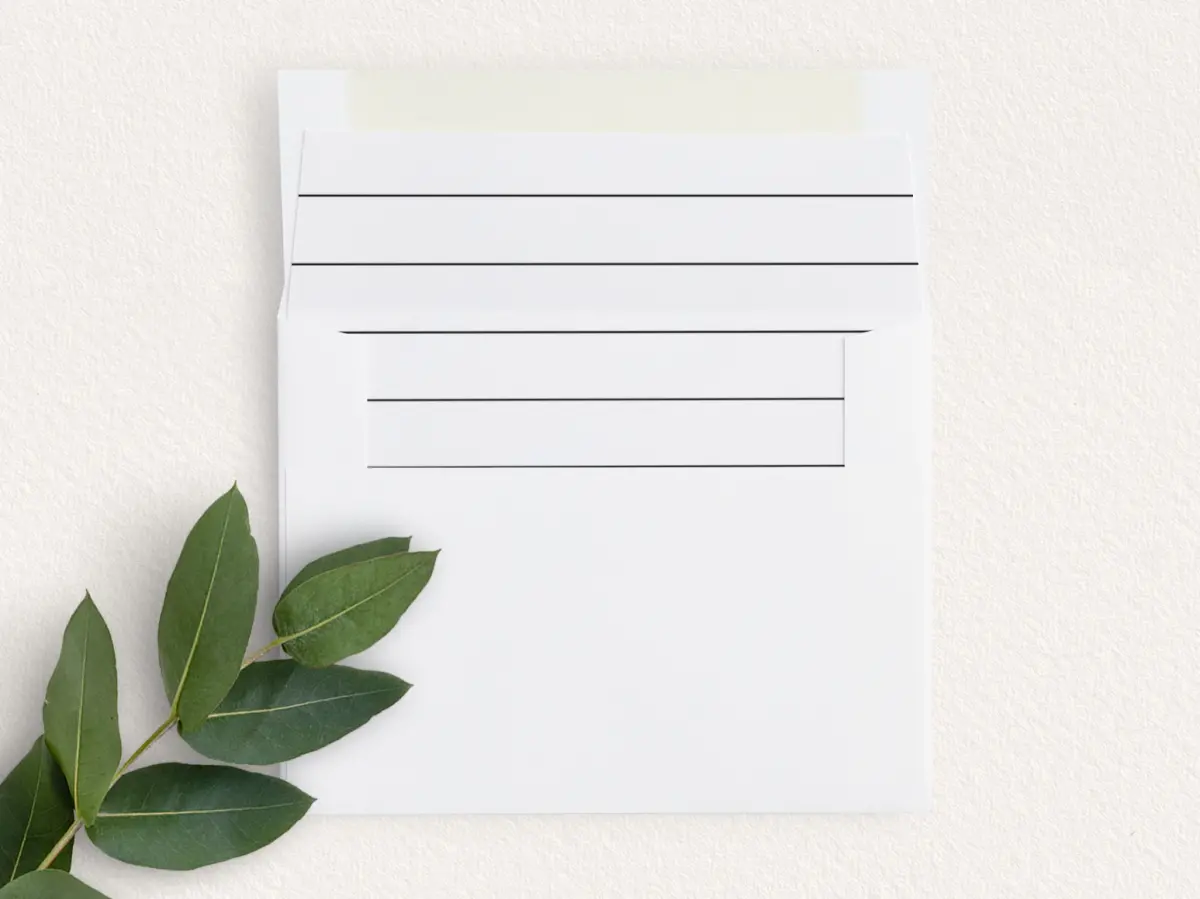 Envelope Liner