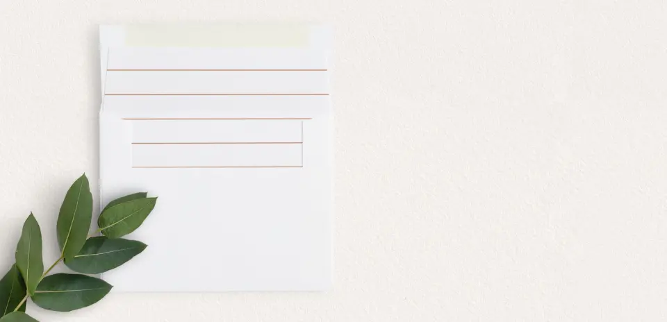 Envelope Liner