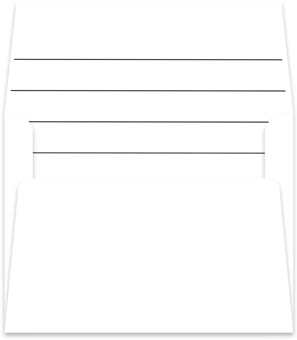 This is a  5½" x 5.9251" Envelope Liners (ELR) called Spacious Idea printed in full color