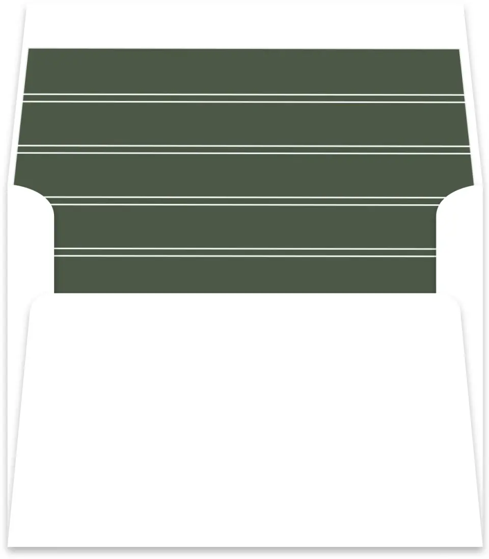 This is a  5½" x 5.9251" Envelope Liners (ELR) called Magnificent Margin printed in full color