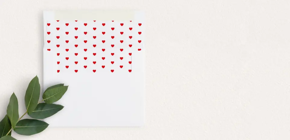 Envelope Liner