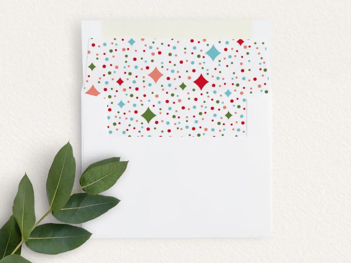 Envelope Liner