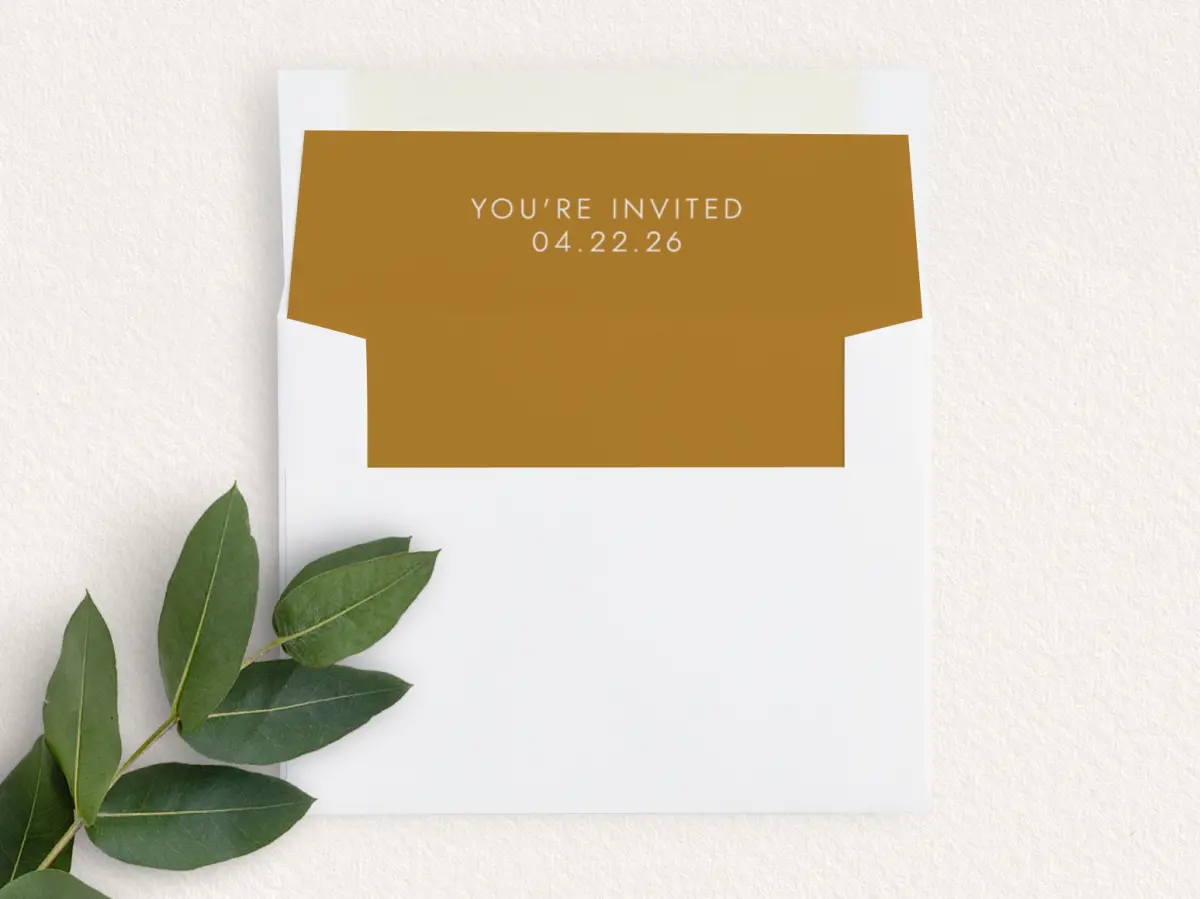 Envelope Liner