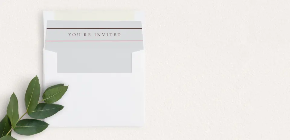 Envelope Liner