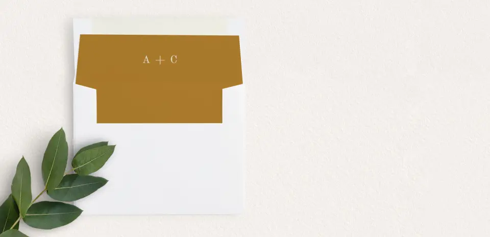 Envelope Liner