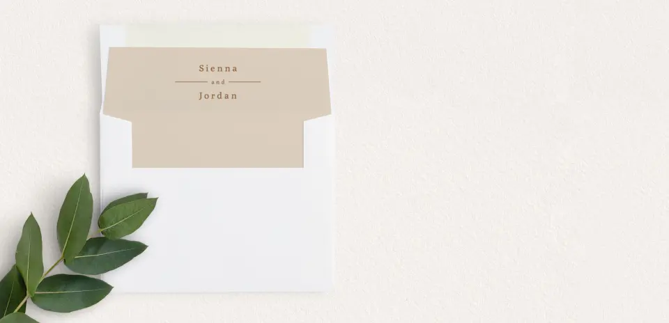 Envelope Liner