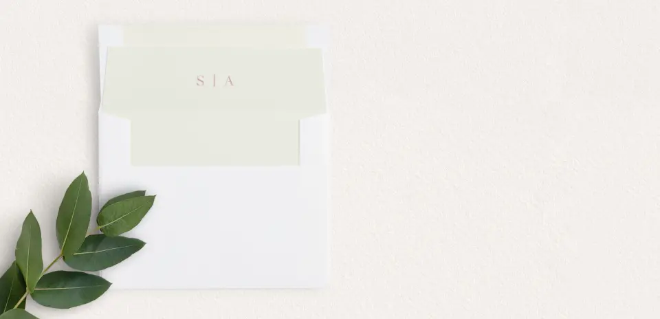 Envelope Liner