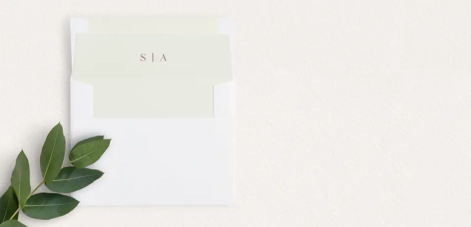 Envelope Liner