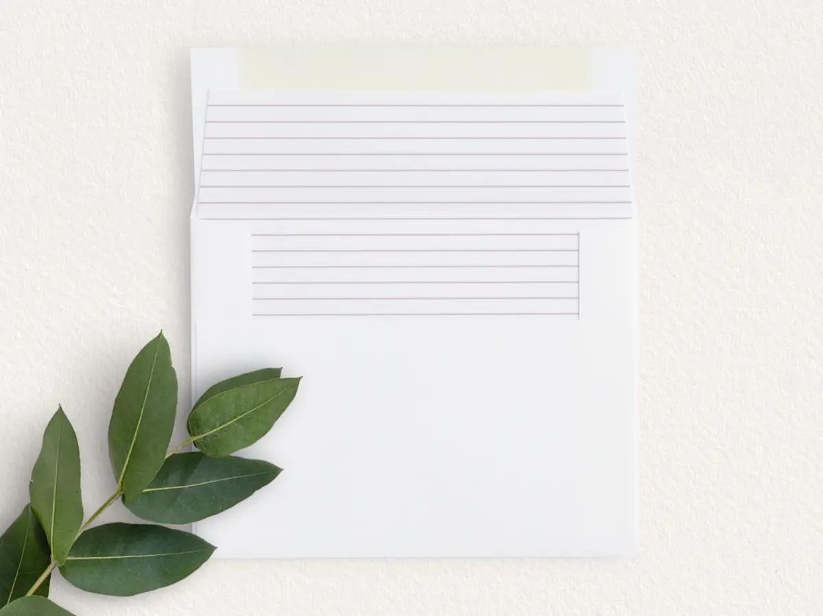 Envelope Liner