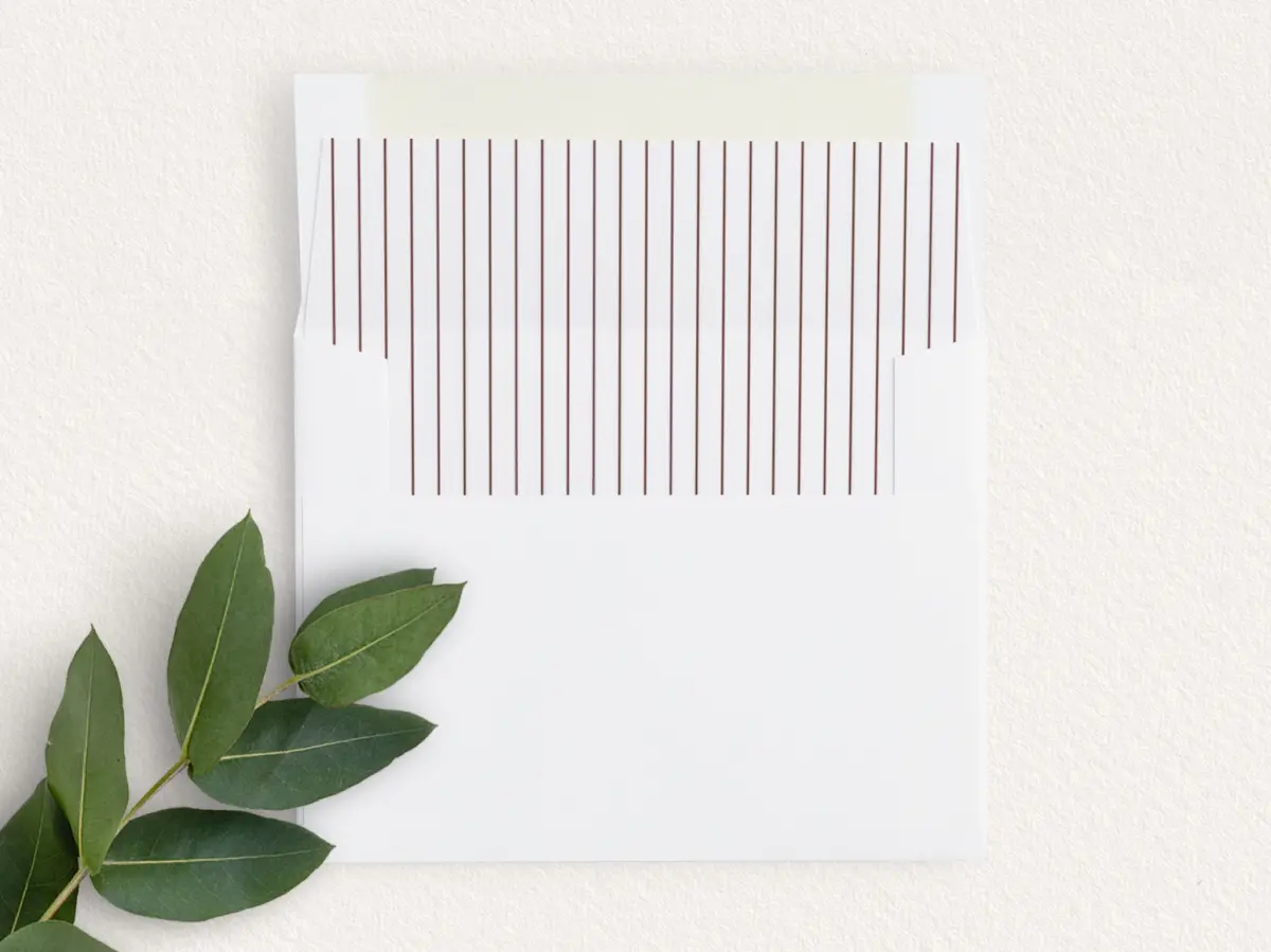 Envelope Liner
