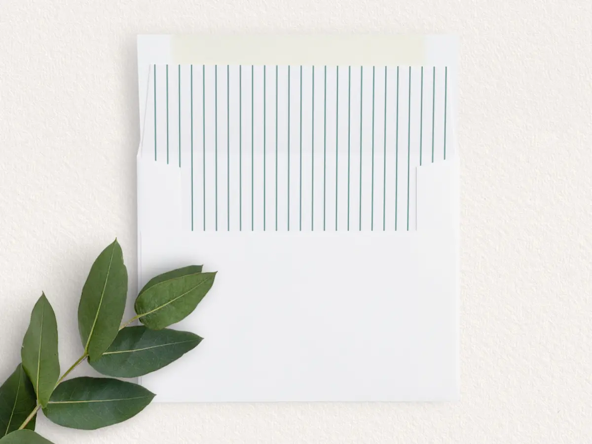 Envelope Liner
