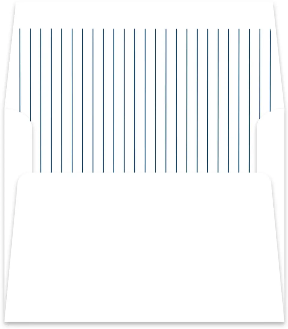 This is a  5½" x 5.9251" Envelope Liners (ELR) called The Sophia printed in full color