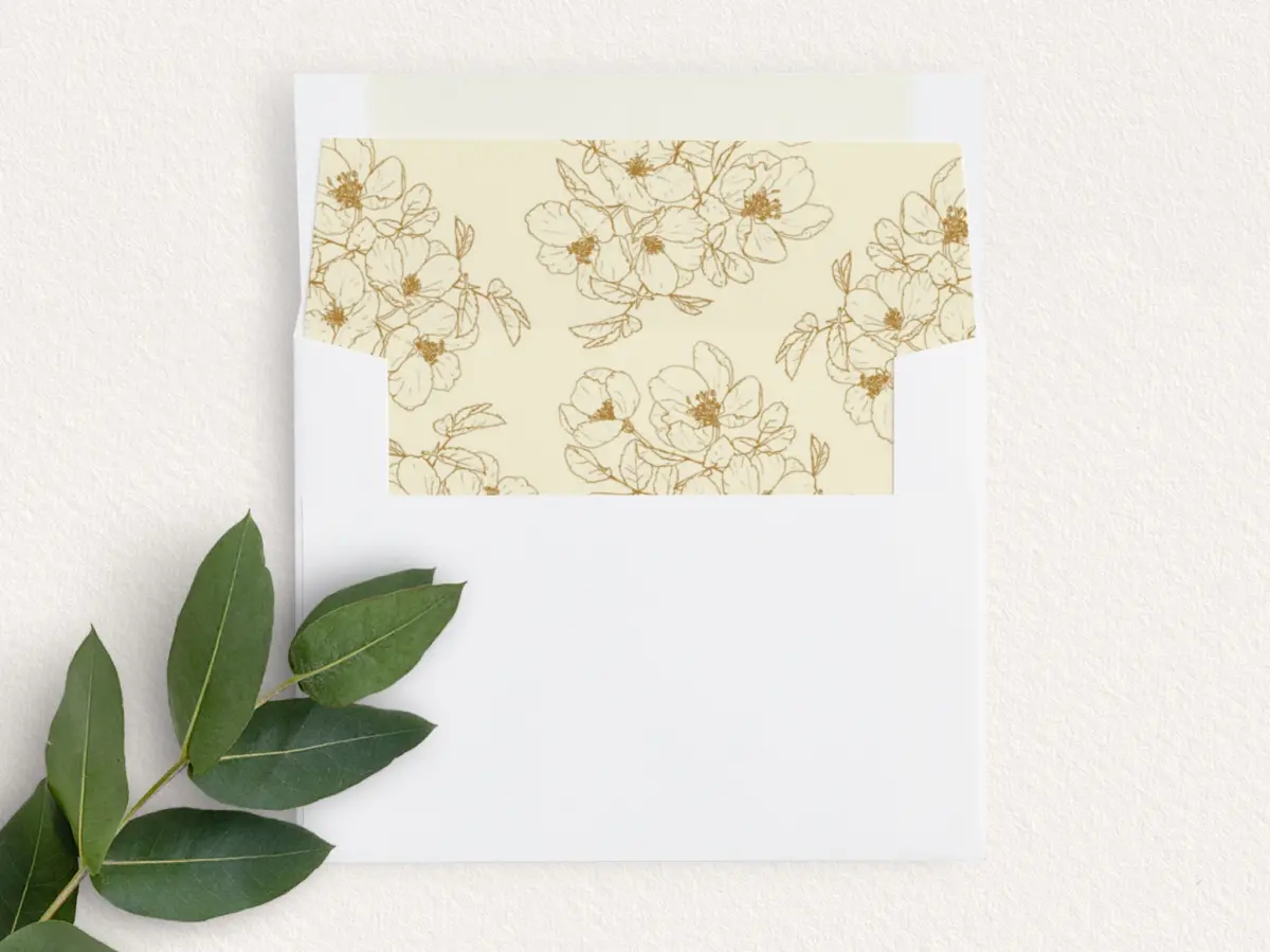 Envelope Liner