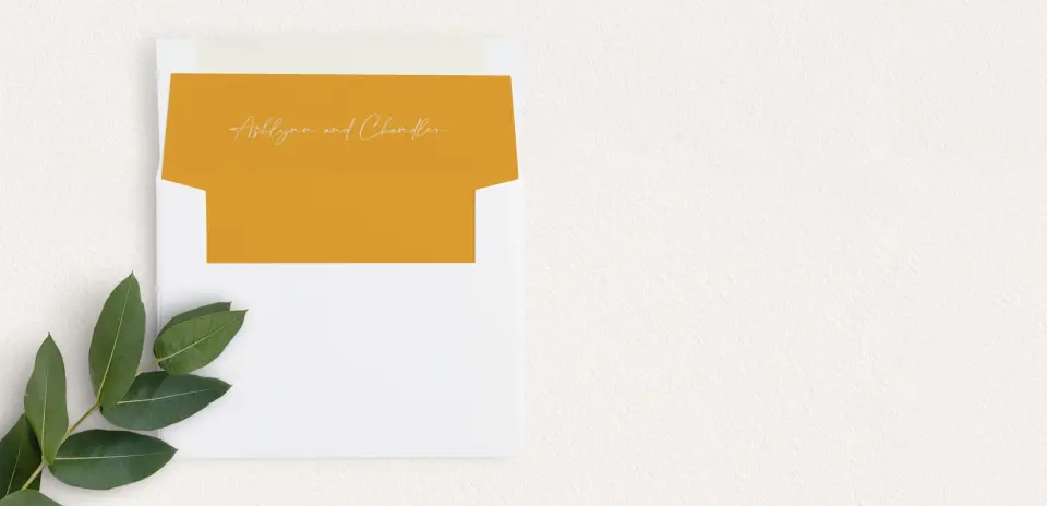 Envelope Liner