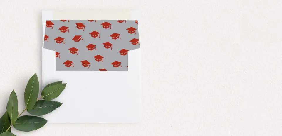 Envelope Liner