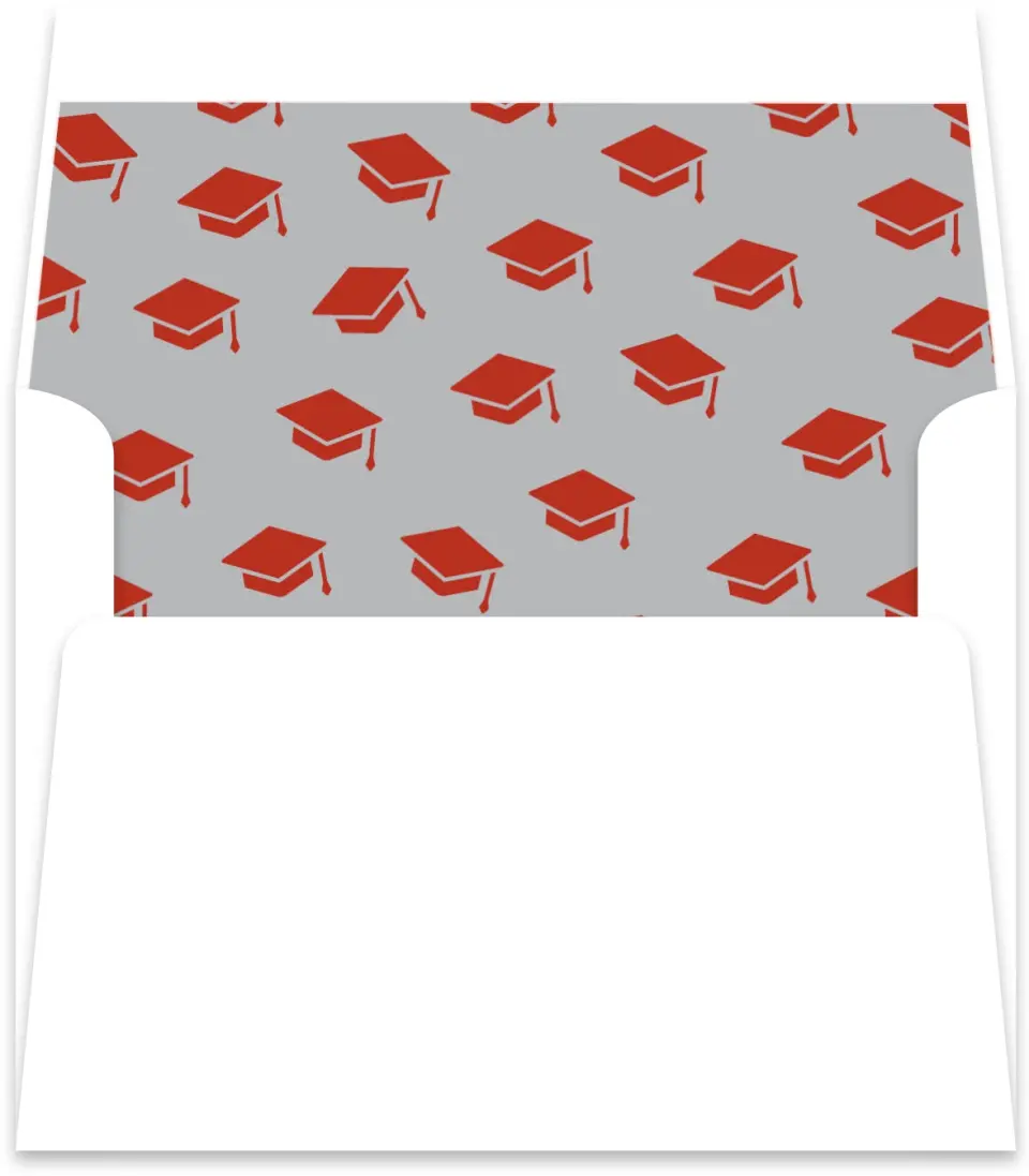 This is a  5½" x 5.9251" Envelope Liners (ELR) called Cool & Classic printed in full color