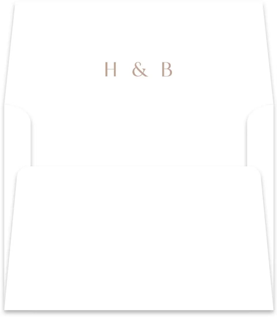 This is a  5½" x 5.9251" Envelope Liners (ELR) called Neat Names printed in full color