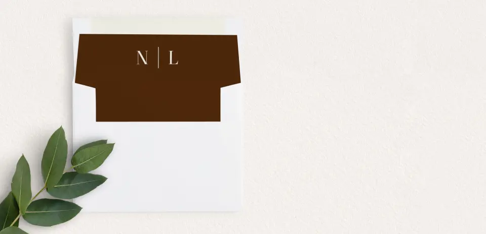 Envelope Liner