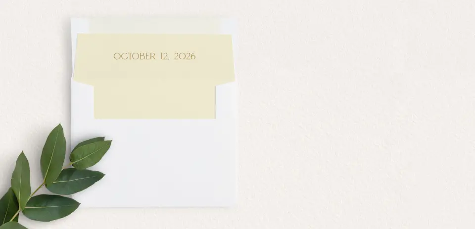 Envelope Liner