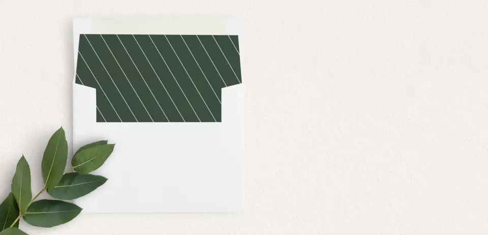 Envelope Liner