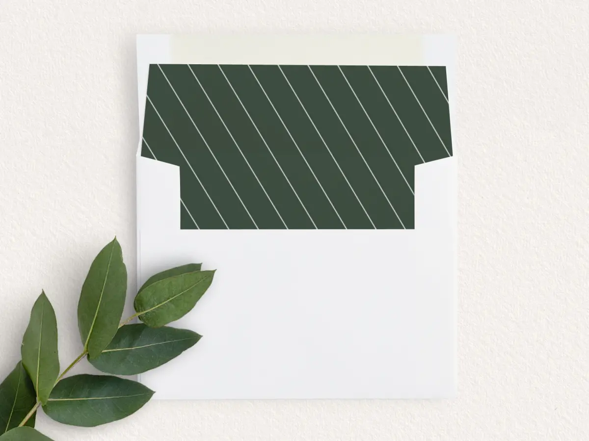 Envelope Liner