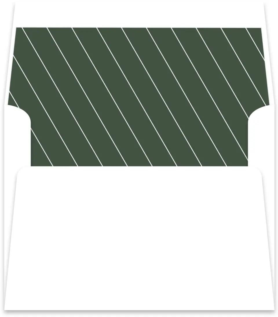 This is a  5½" x 5.9251" Envelope Liners (ELR) called True Tradition printed in full color