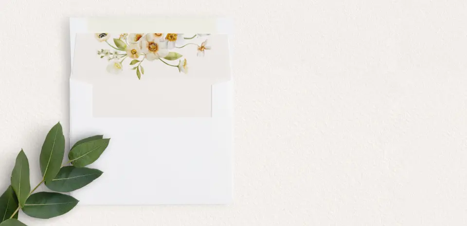 Envelope Liner