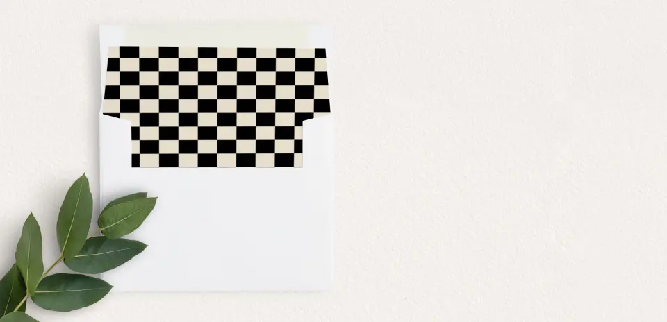 Envelope Liner