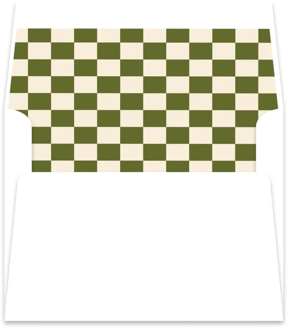 This is a  5½" x 5.9251" Envelope Liners (ELR) called Desert Funk printed in full color