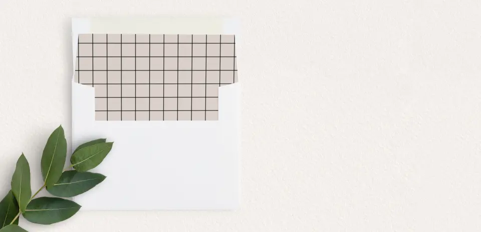 Envelope Liner