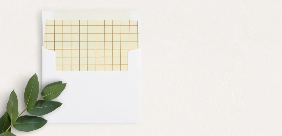 Envelope Liner