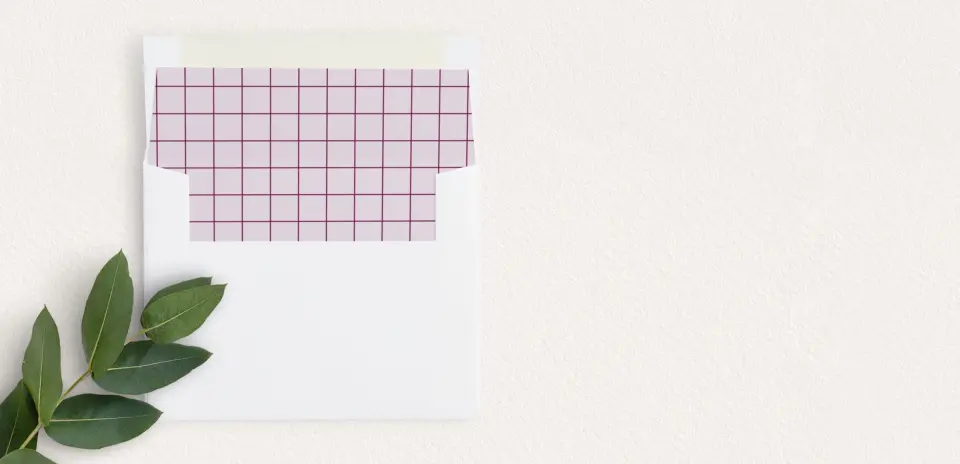 Envelope Liner
