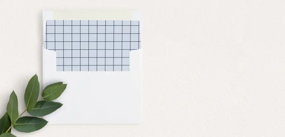 Envelope Liner