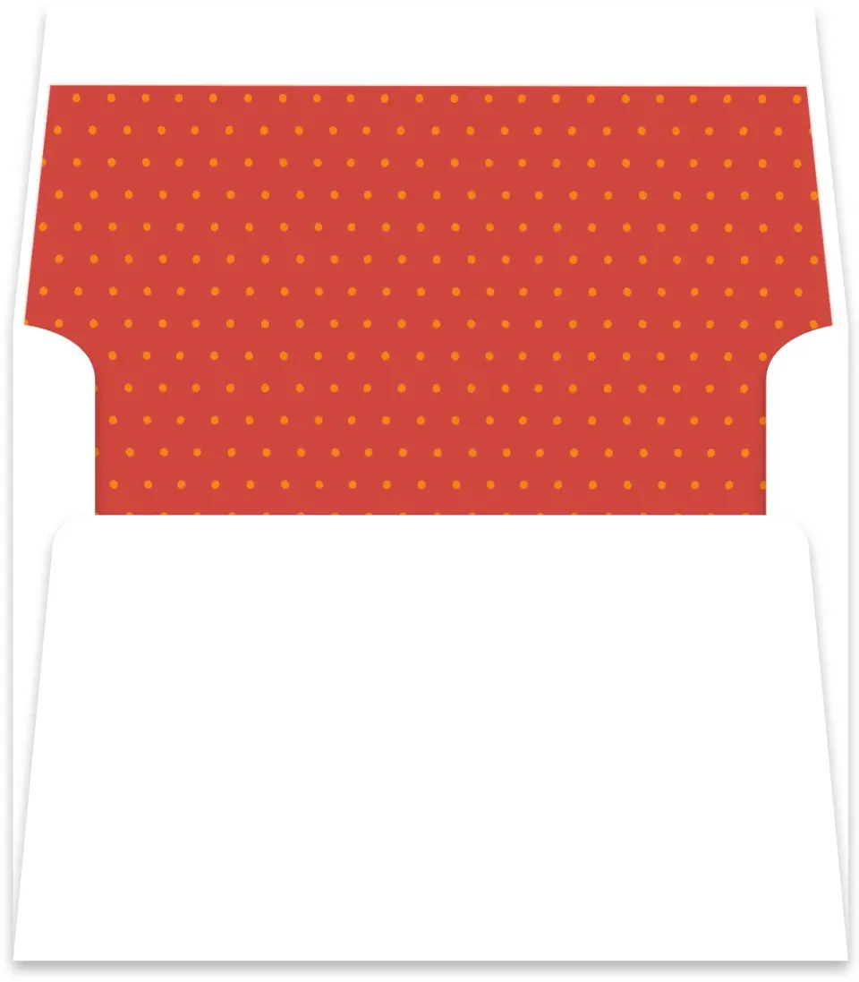 This is a  5½" x 5.9251" Envelope Liners (ELR) called Folk Fiesta printed in full color