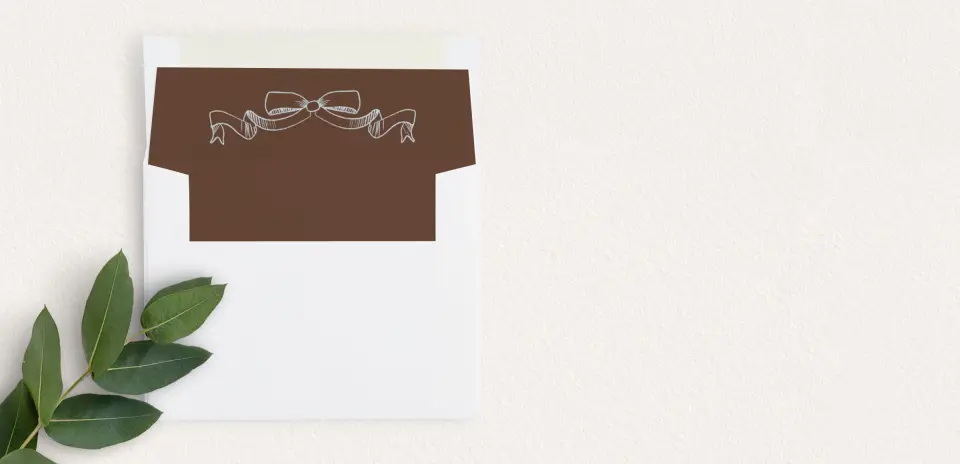 Envelope Liner