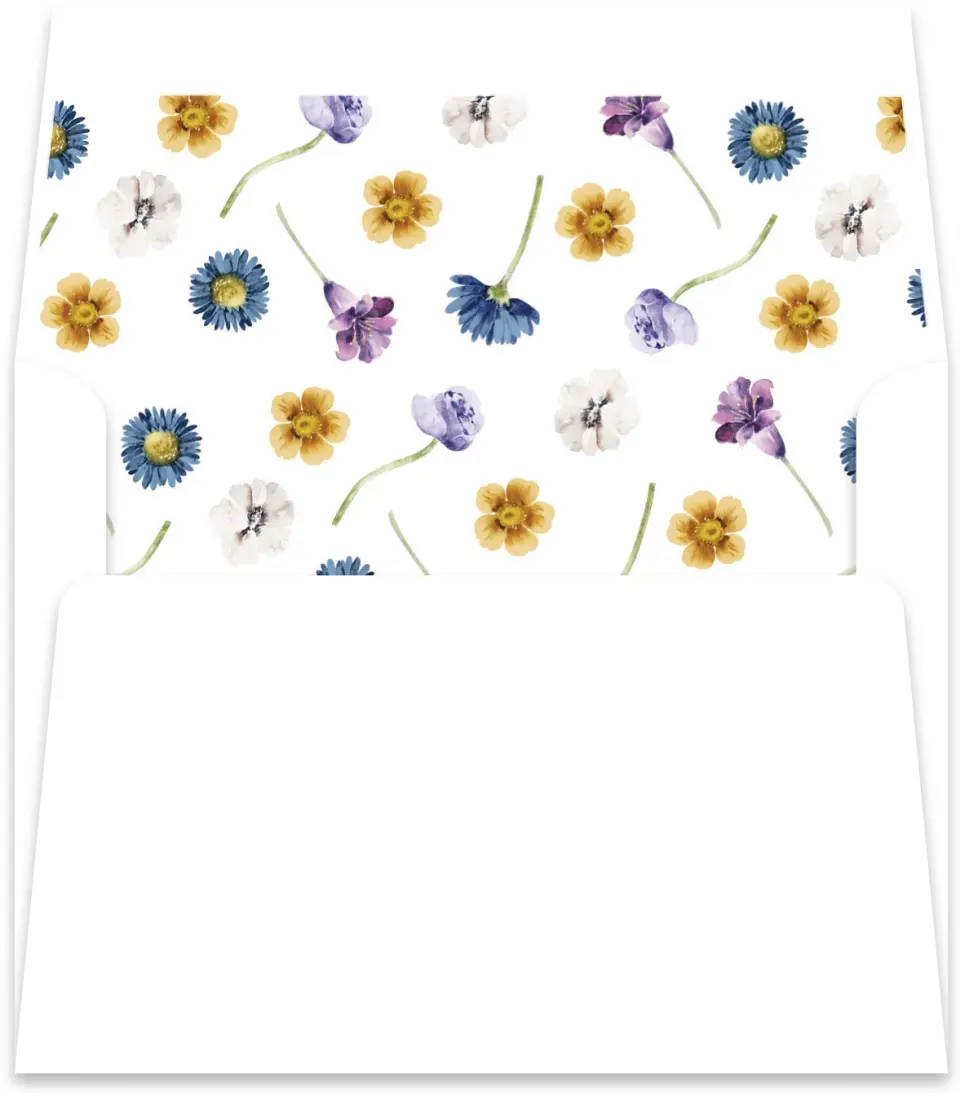 This is a  5½" x 5.9251" Envelope Liners (ELR) called Wildest Dream printed in full color