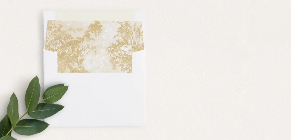 Envelope Liner