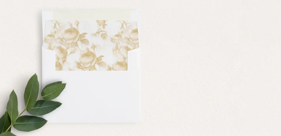 Envelope Liner