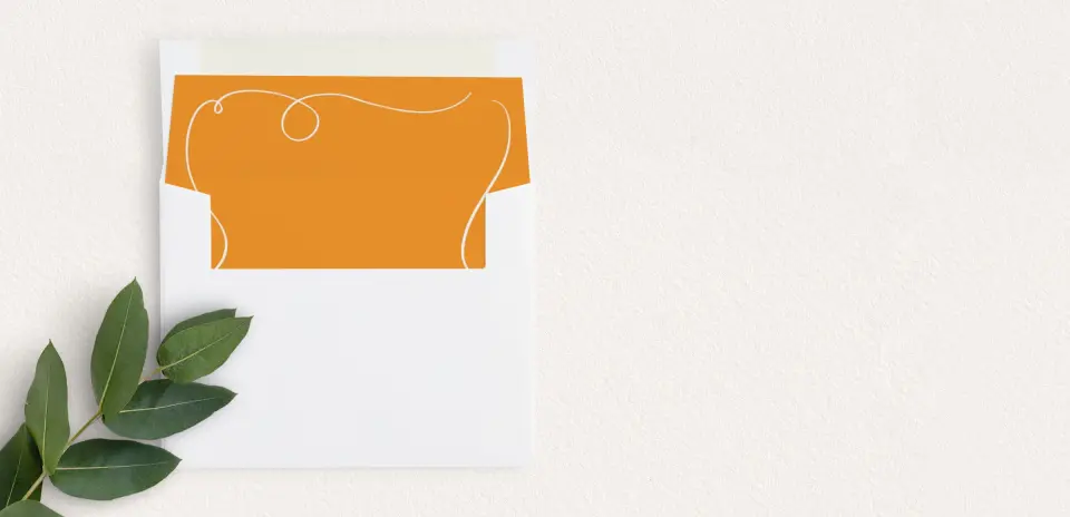 Envelope Liner