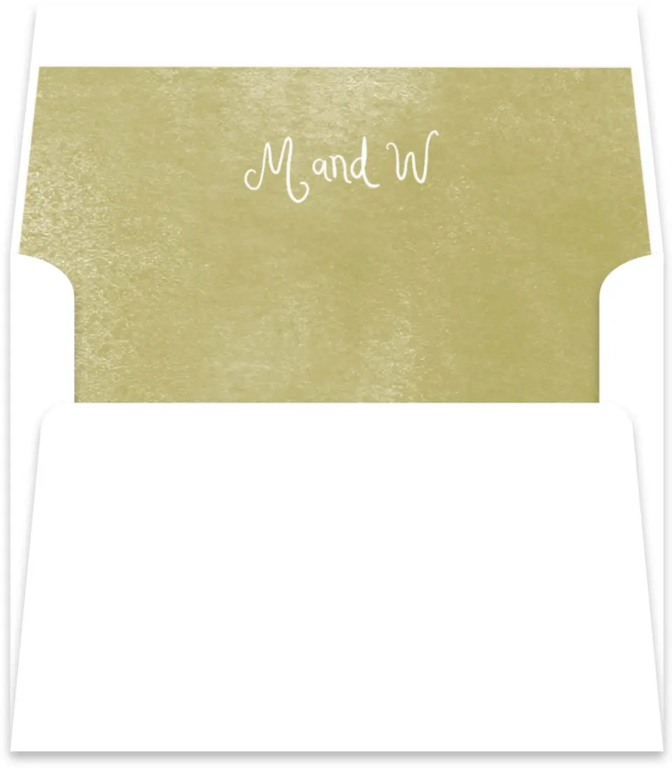 This is a  5½" x 5.9251" Envelope Liners (ELR) called Whimsical Garden printed in full color