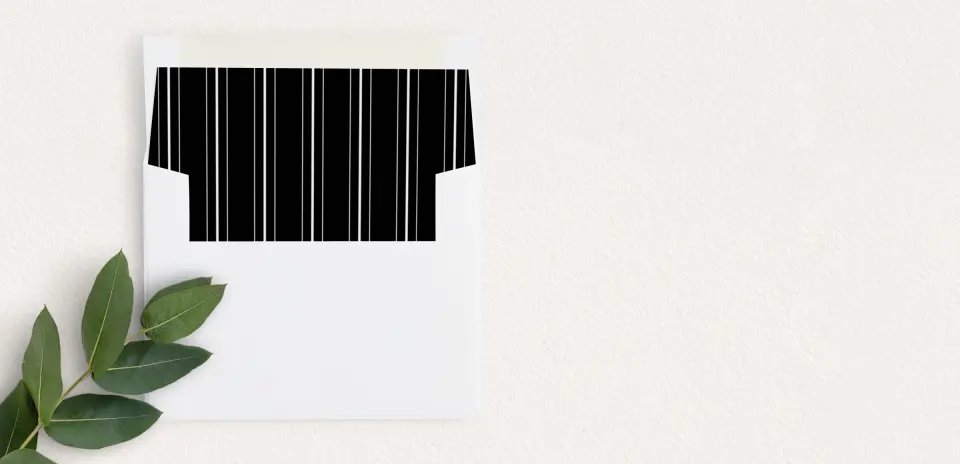 Envelope Liner