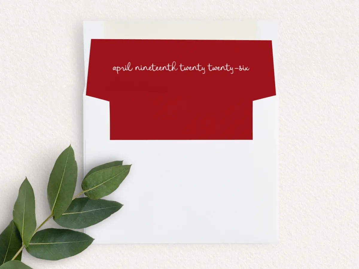 Envelope Liner