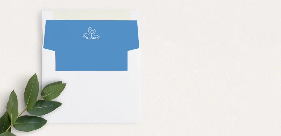 Envelope Liner