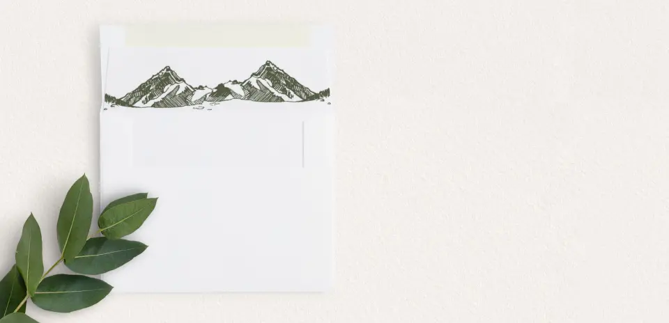Envelope Liner
