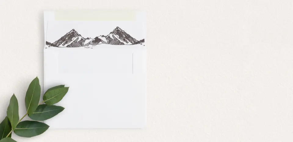Envelope Liner