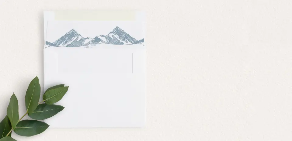 Envelope Liner