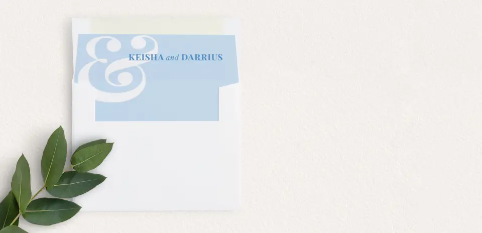 Envelope Liner