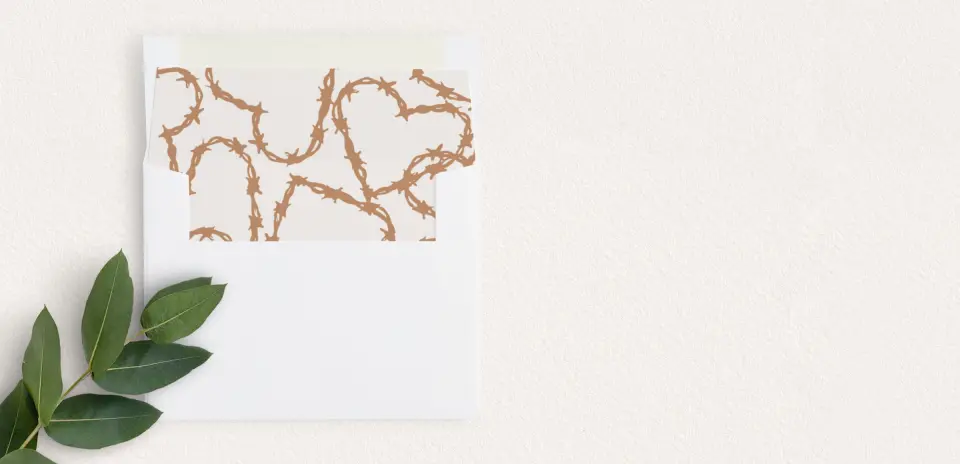 Envelope Liner