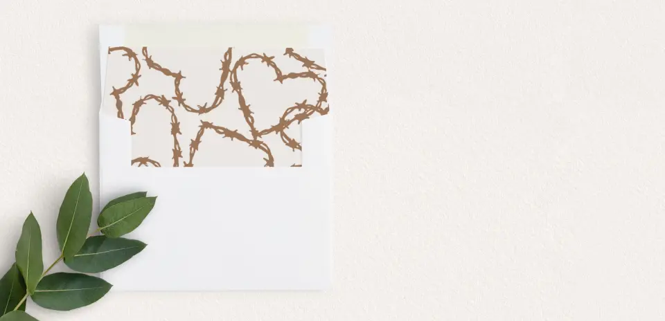 Envelope Liner